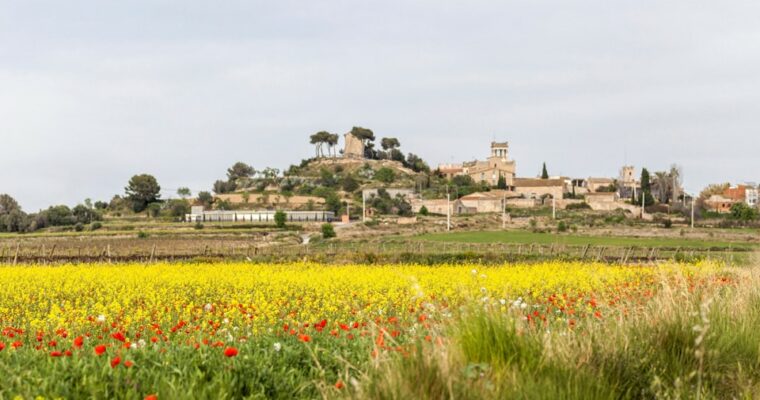 Banyeres del Penedès