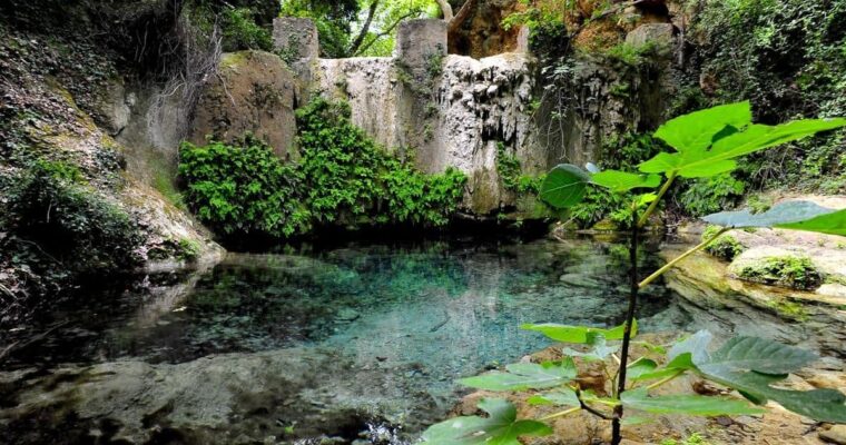 Boadella i les Escaules