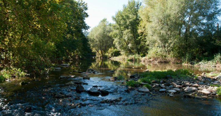 Sant Jaume de Llierca