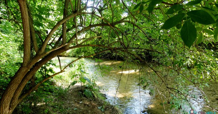 Santa Eulàlia de Ronçana